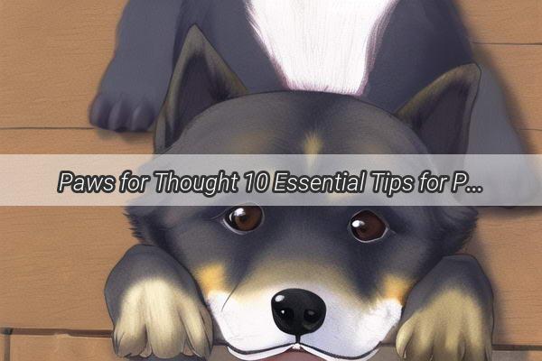 Paws for Thought 10 Essential Tips for Protecting Your Pooch in the Social Sphere